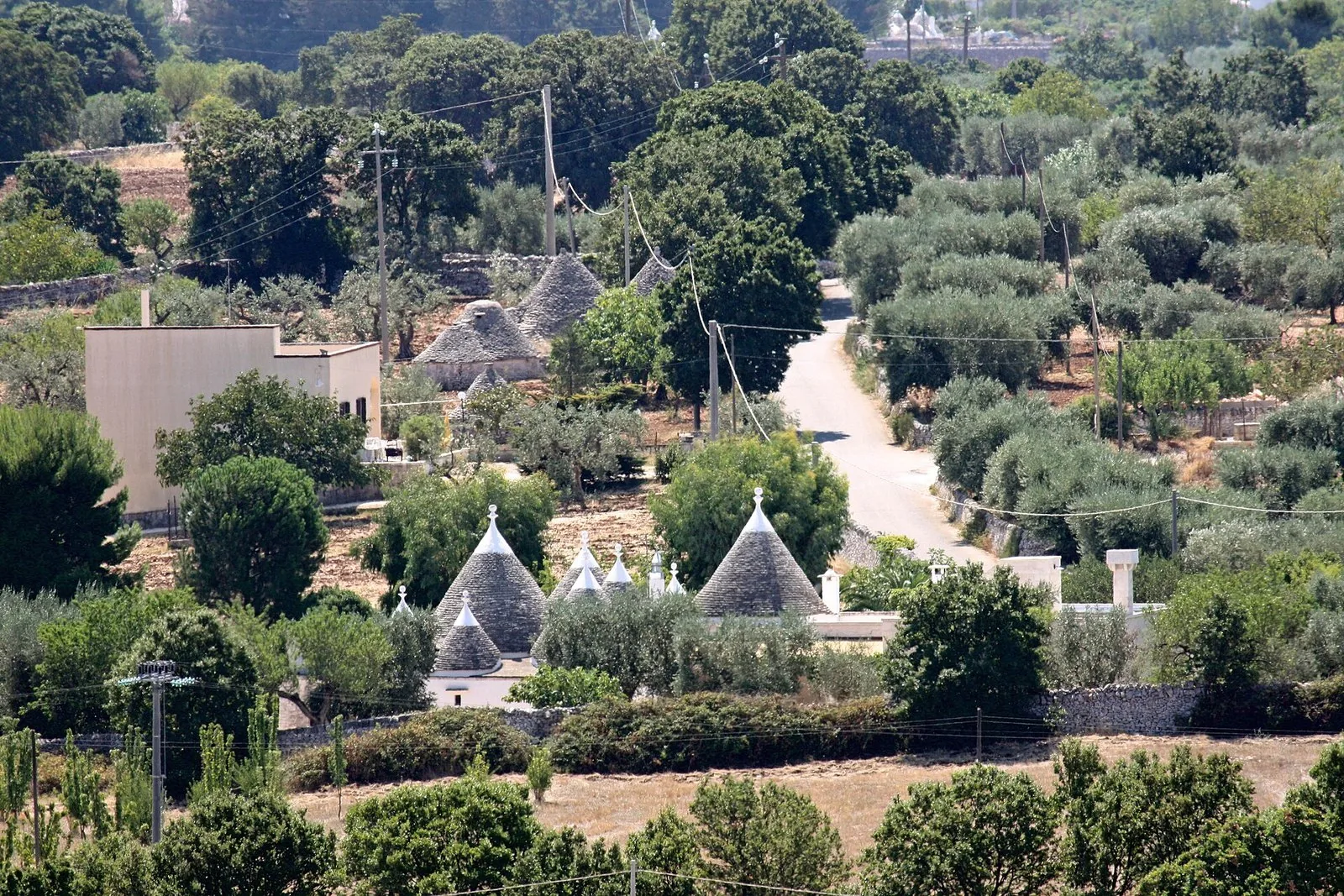 Una strada di campagna tra i trulli e gli ulivi della Valle d'Itria